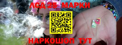 мяу мяу мука Будённовск