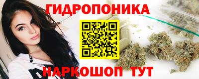 spice Бузулук