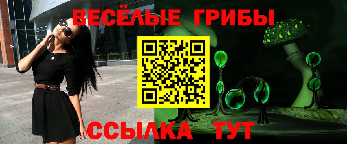 Псилоцибиновые грибы Psilocybe  Вход с VPN  Краснокамск 